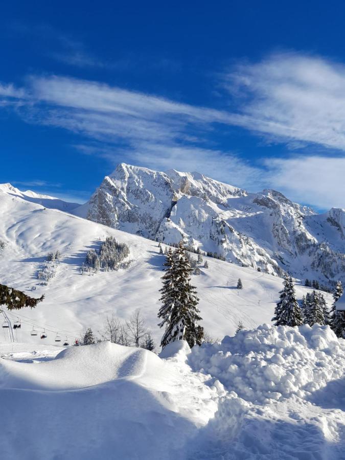 Appartement Au Coeur Des Aravis مانيجود المظهر الخارجي الصورة
